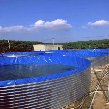 大型镀锌板帆布池种植养殖蓄水池高密度帆布池圆桶镀锌板支架
