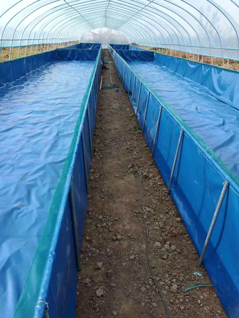 大型镀锌板帆布池种植养殖蓄水池高密度帆布池圆桶镀锌板支架