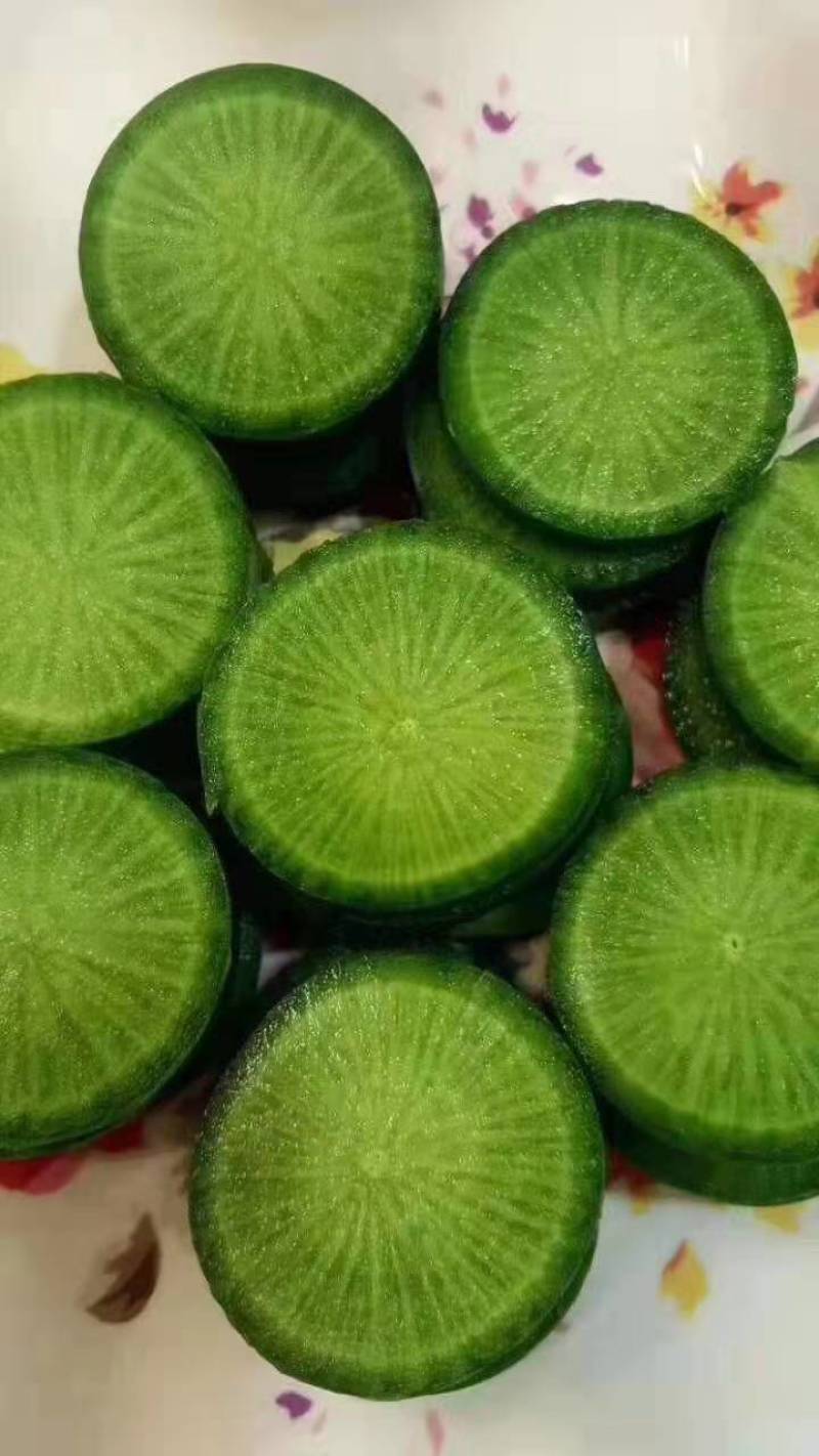 萝卜沙窝萝卜纯青茬青萝卜水果萝卜潍县萝卜口感脆甜不辣