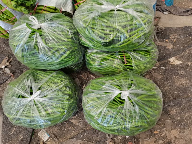 线椒黄线椒黑线椒大量上市视频看货质量保障欢迎联系
