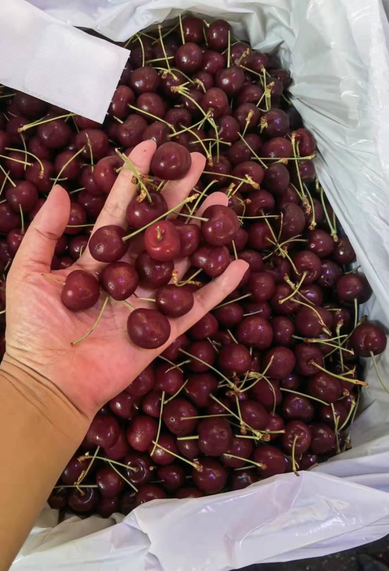 智利车厘子进口樱桃10斤装新鲜精品水果