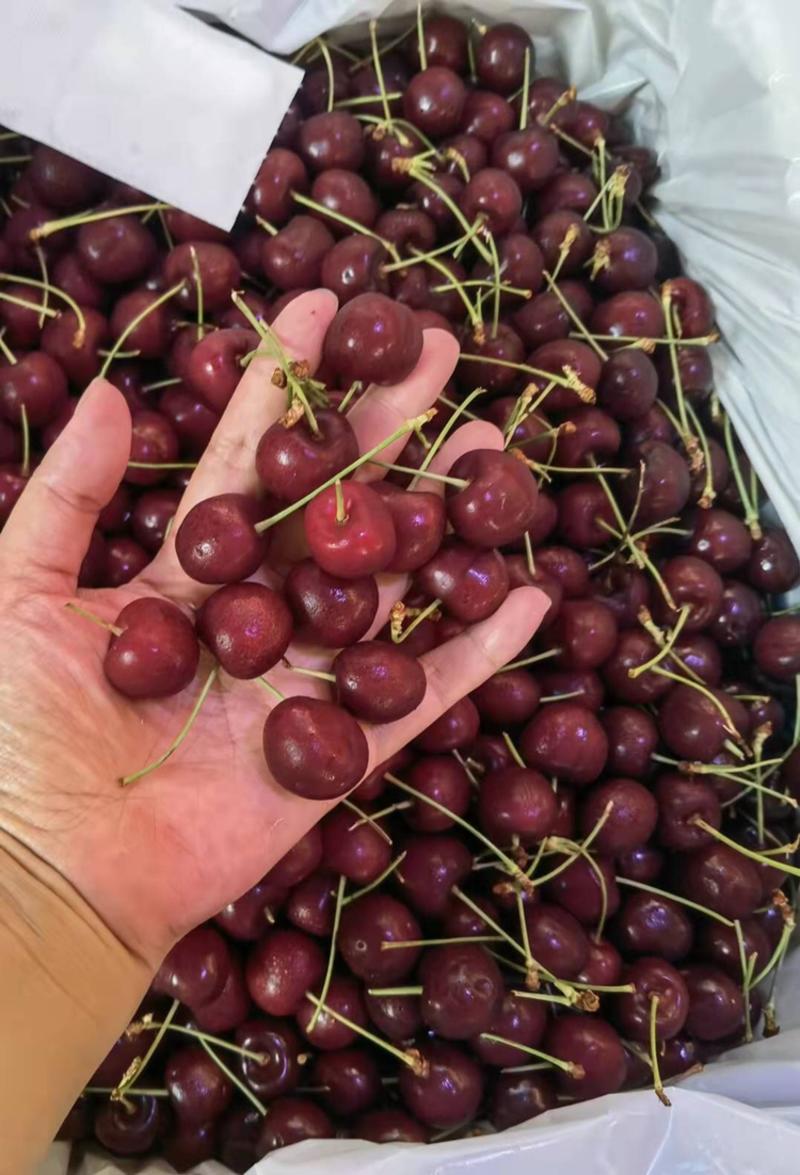 智利车厘子进口樱桃10斤装新鲜精品水果