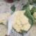 河南开封精品有机花菜，大量上市。货源充足。
