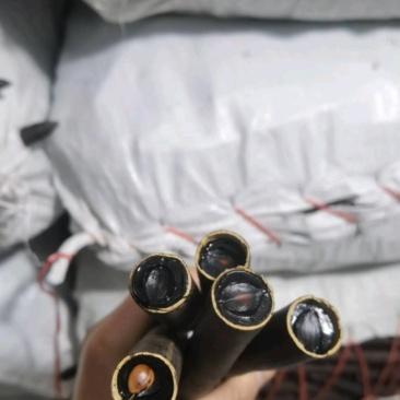 便秘果统装500g产地越南振兴药材购销站量大从优