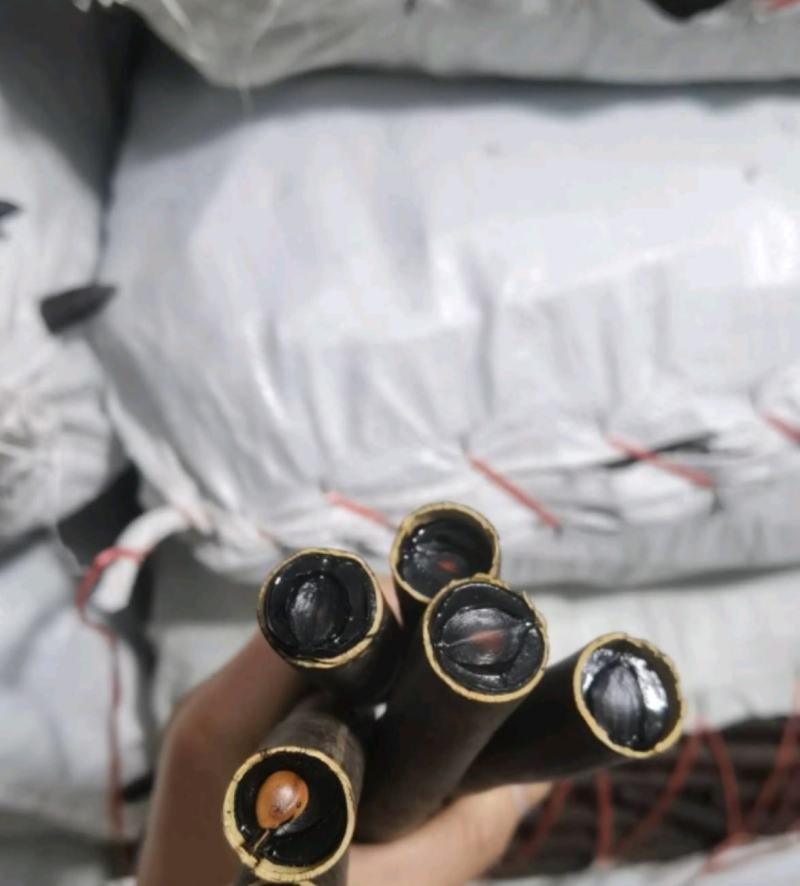 便秘果统装500g产地越南振兴药材购销站量大从优
