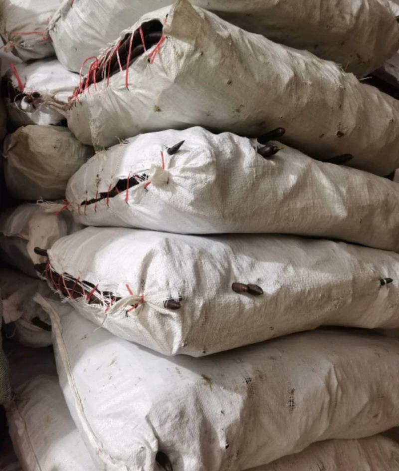 便秘果统装500g产地越南振兴药材购销站量大从优
