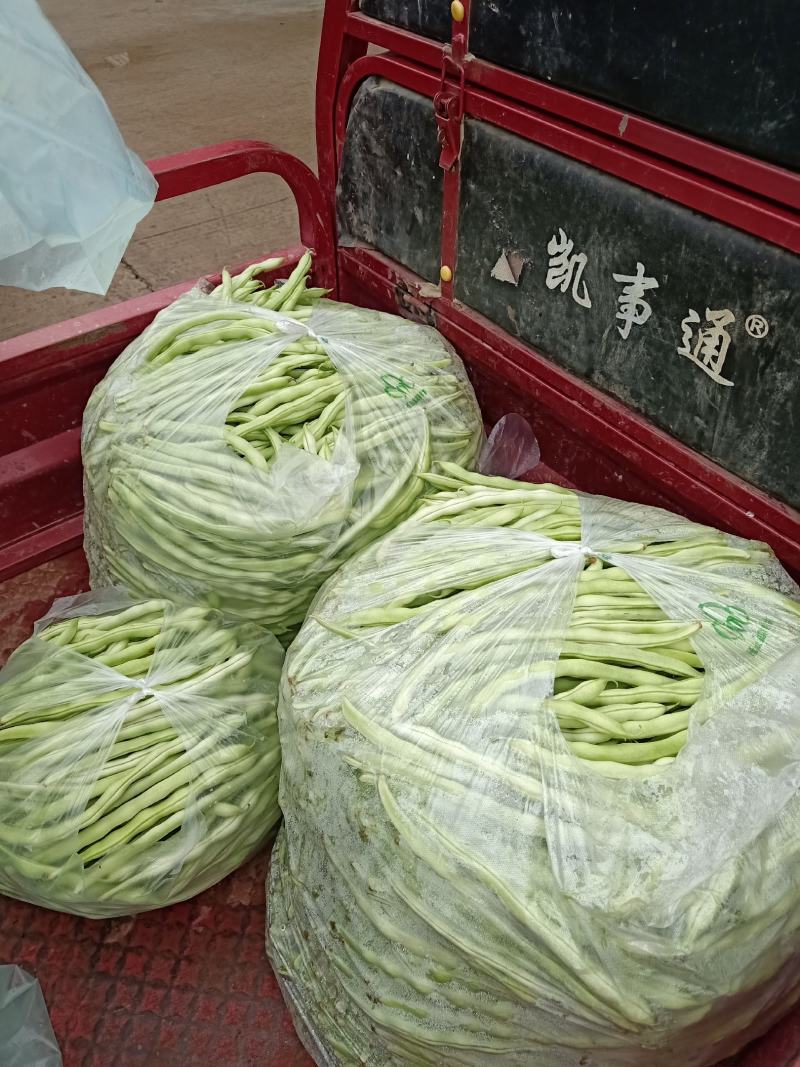 今品豆角