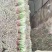 精品韭菜，诚信代办，产地直发，物美价廉。