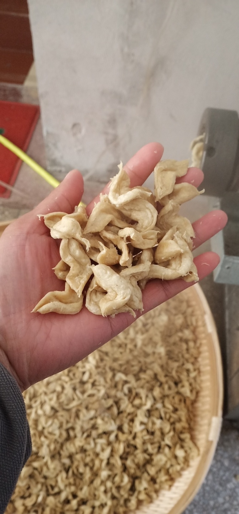豆皮