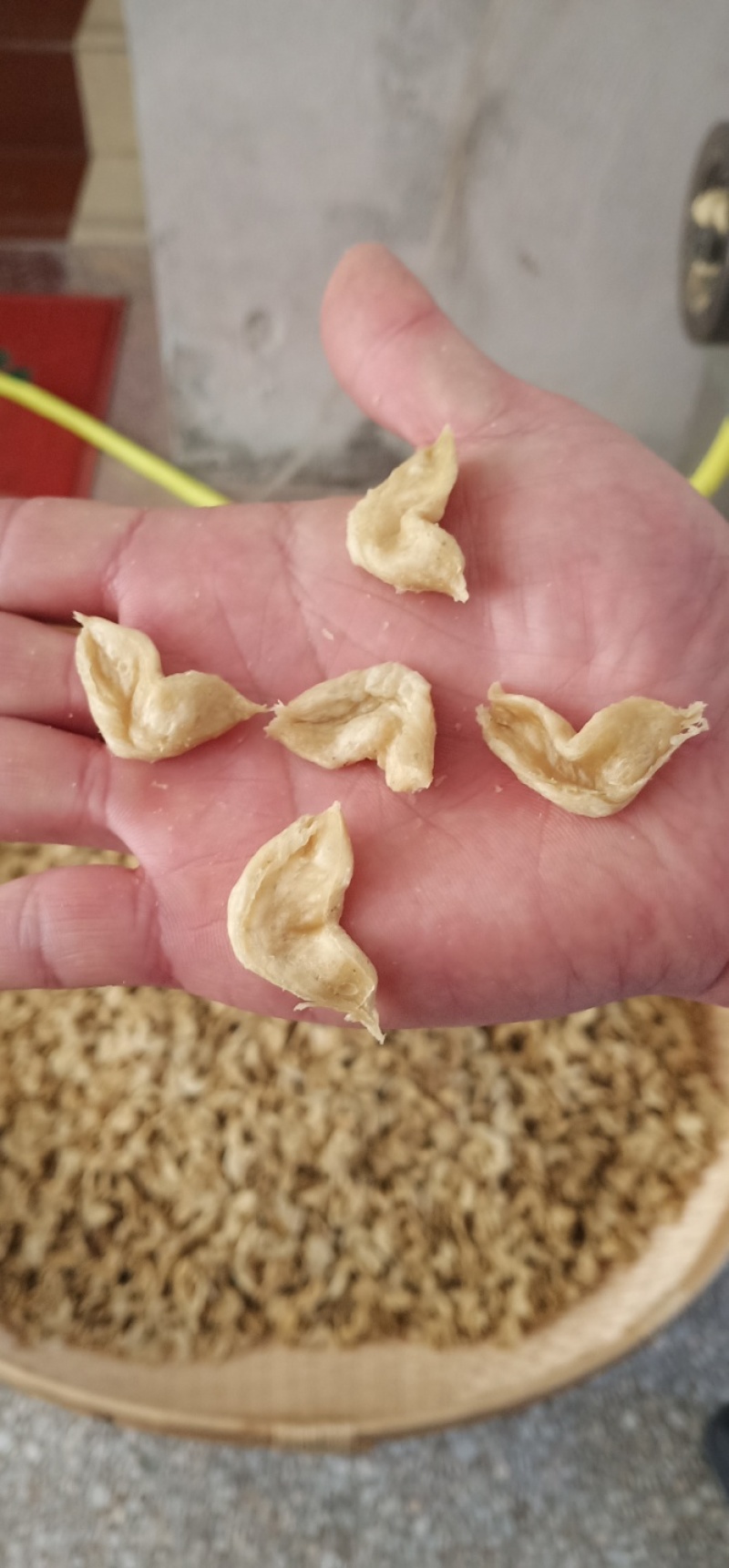豆皮