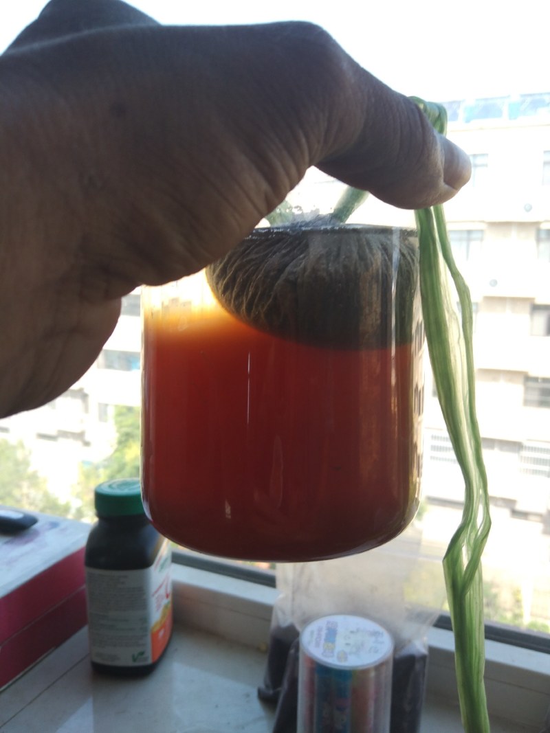 发酵肉骨粉