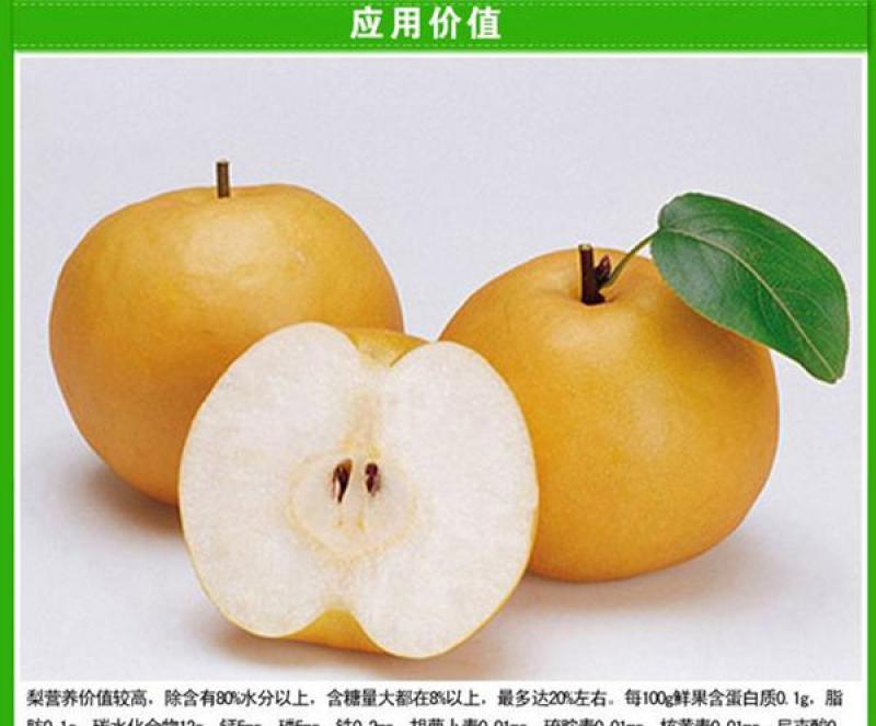 泌阳县梨晚秋黄梨