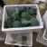 精品西兰花，诚信代办，产地直发，物美价廉。