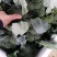 精品西兰花，诚信代办，产地直发，物美价廉。