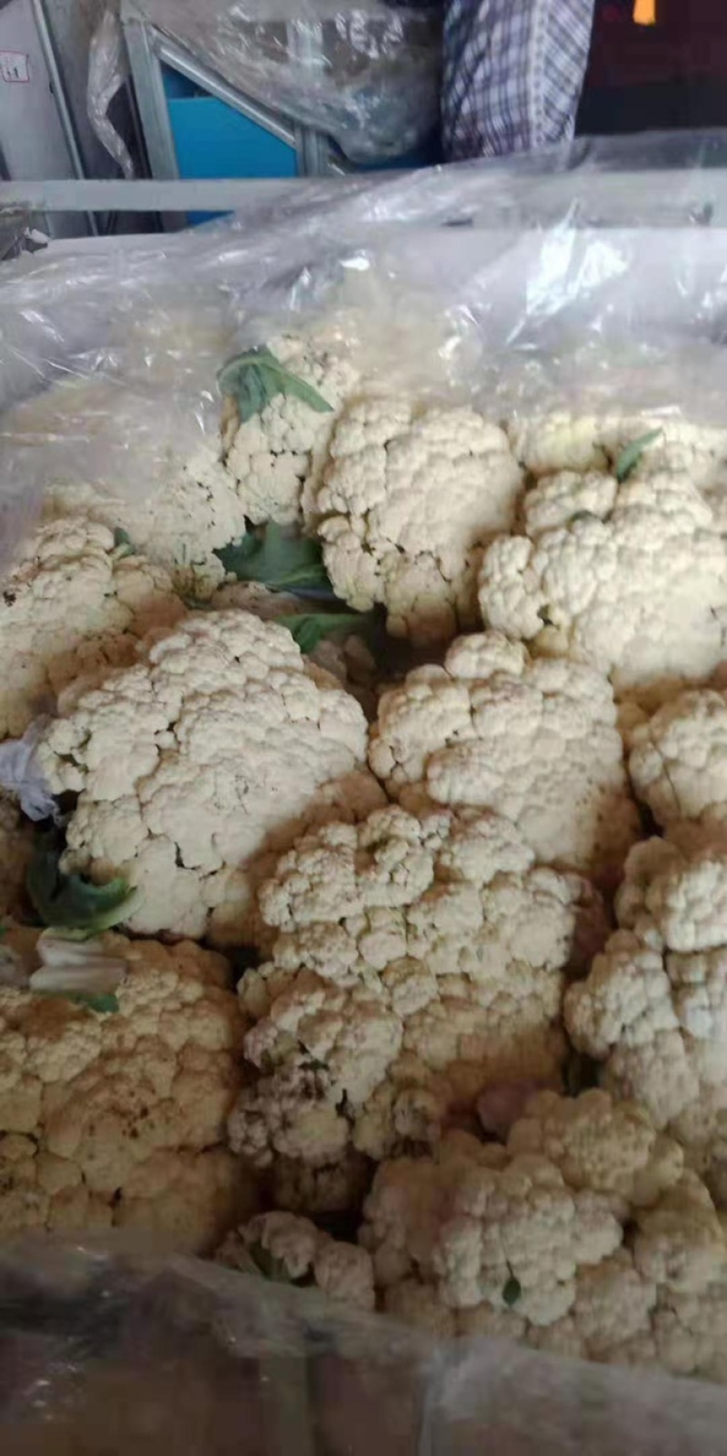 精品菜花，诚信代办，产地直发，物美价廉。