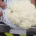 精品菜花，诚信代办，产地直发，物美价廉。
