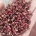 【包邮】花椒批发陕西韩城大红袍花椒直供商超食品厂调味店