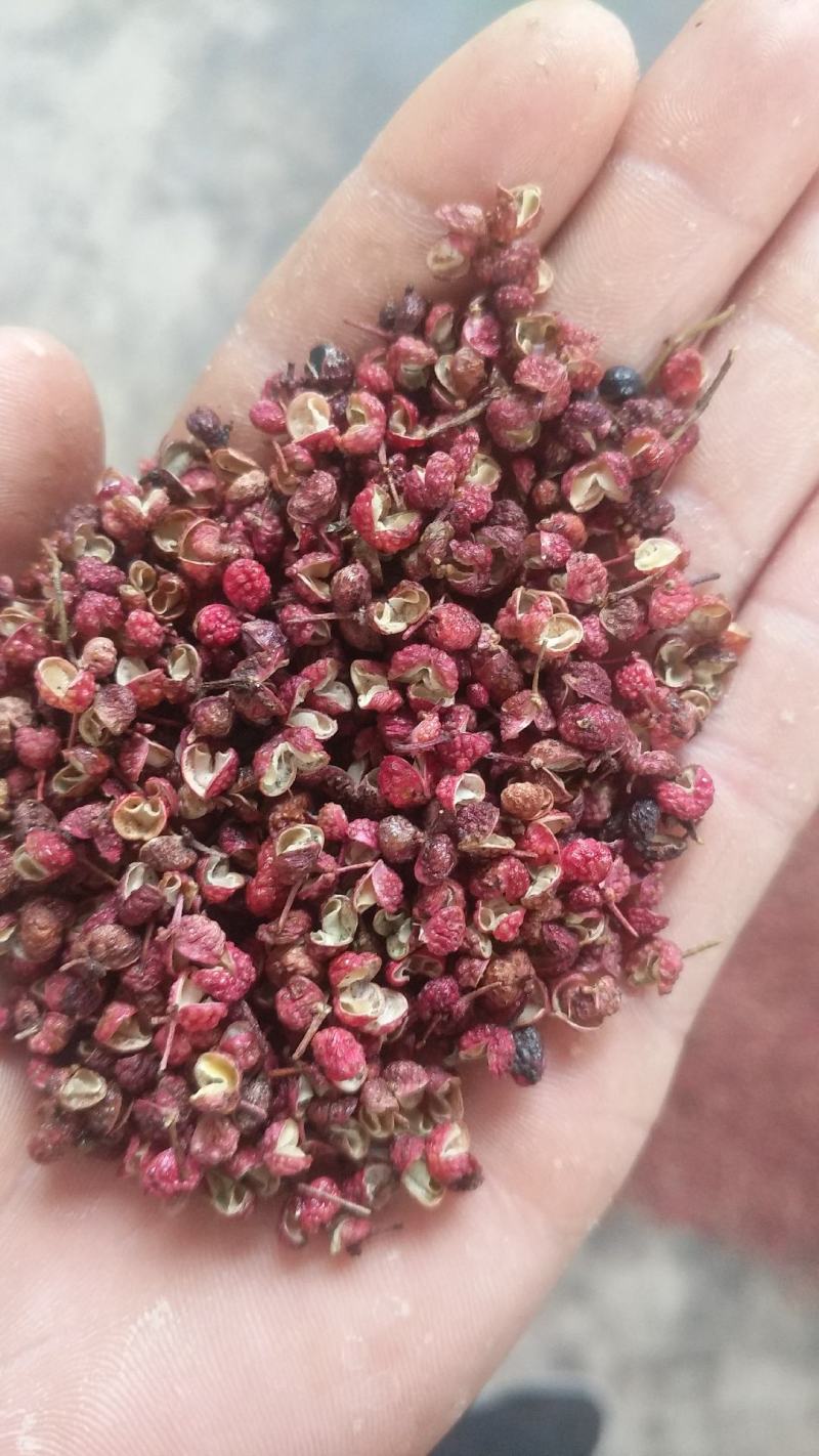 【包邮】花椒批发陕西韩城大红袍花椒直供商超食品厂调味店