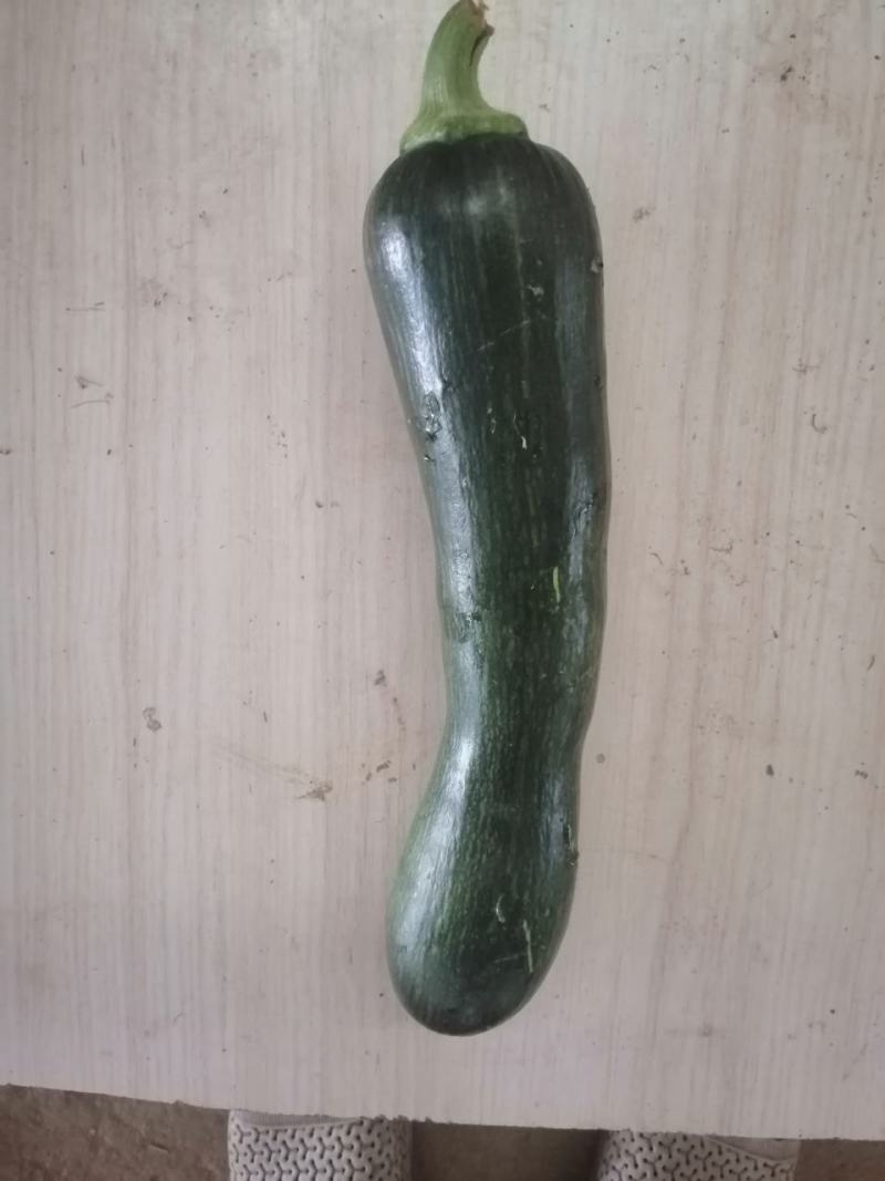 南瓜泡