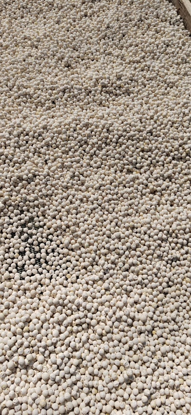 芡实自家种植鸡头米量大从优