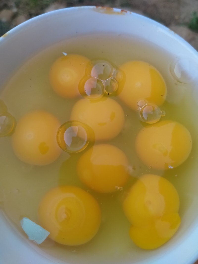 散养绿壳土鸡蛋