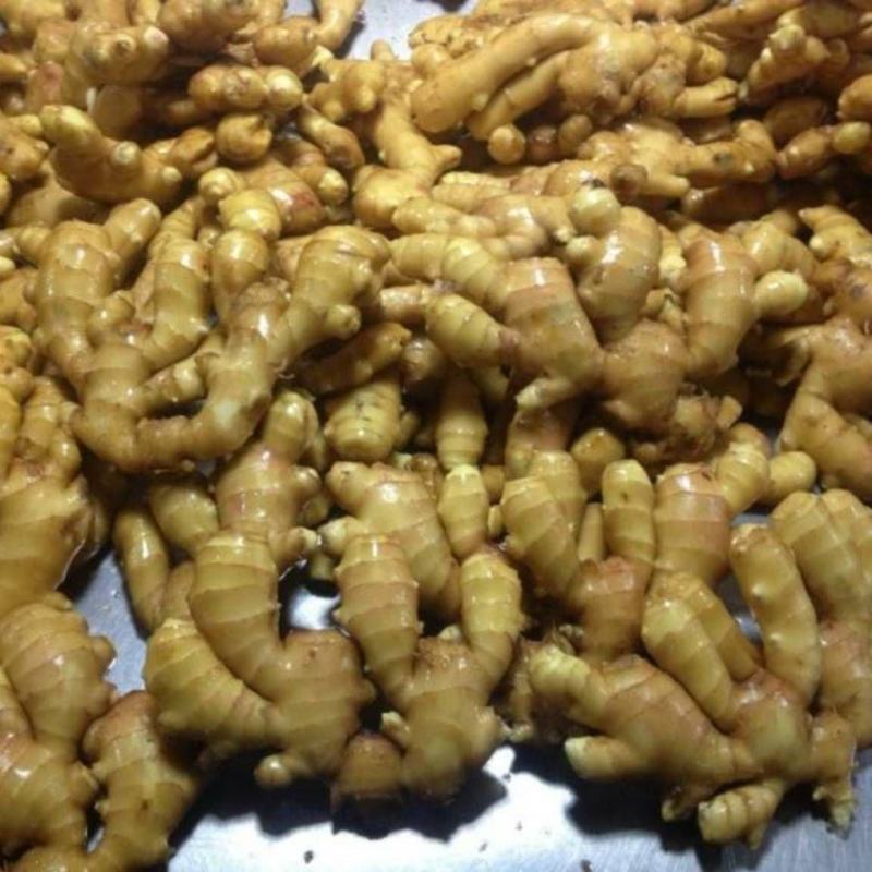 精品生姜大量供应保质保量【电商市场团购】全国发货坏烂包赔