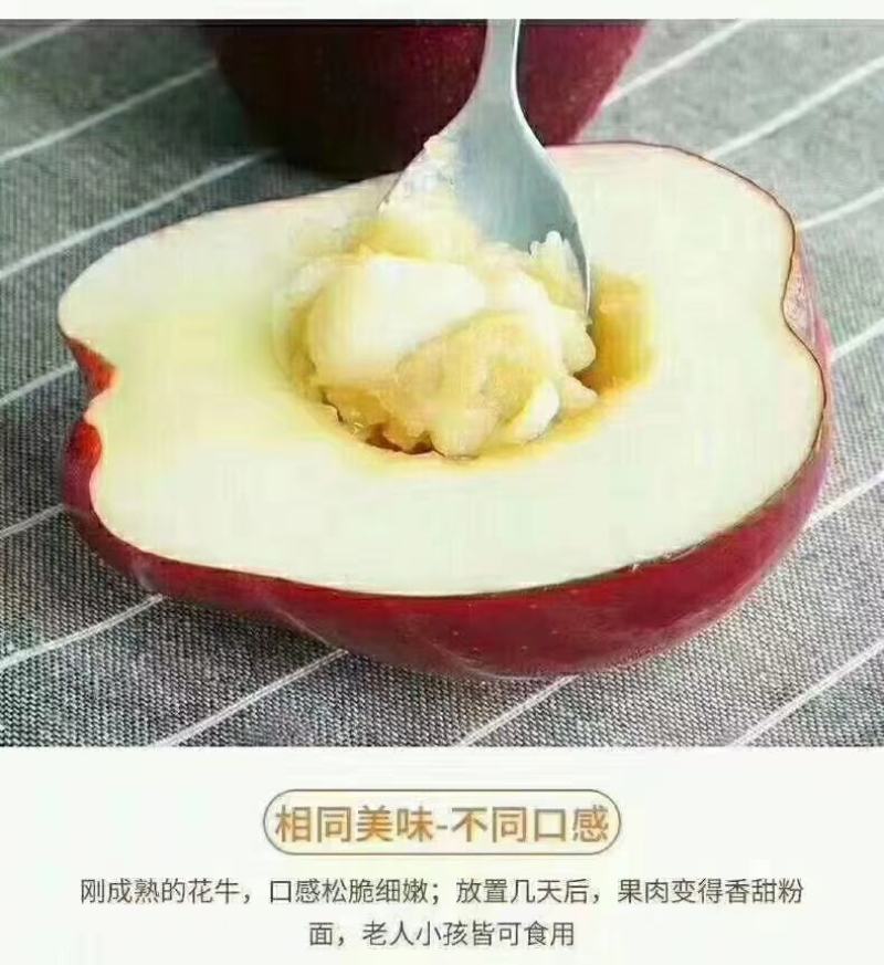 花牛