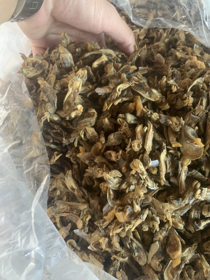 一手自己加工蛏子干通货优质货源稳定