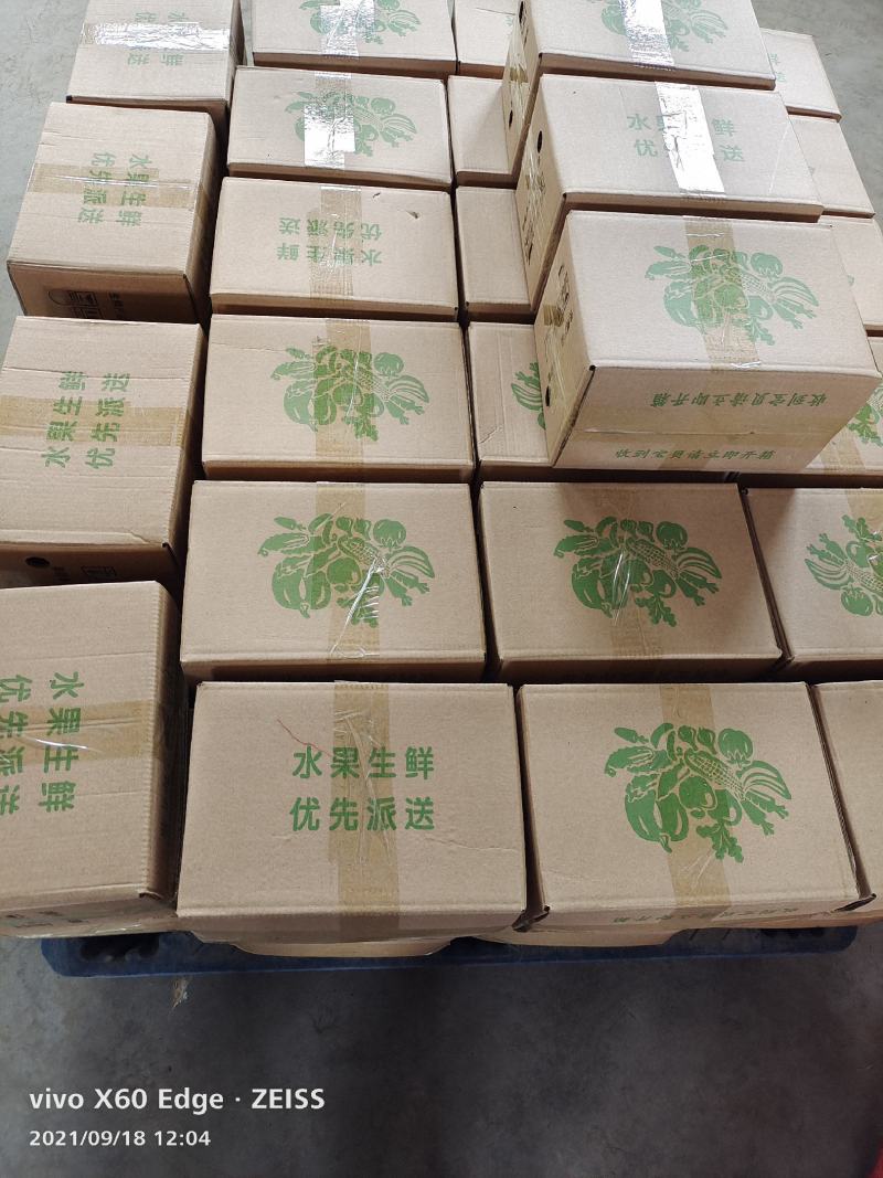 出售惠和优质爆粉贝贝南瓜，产地供应，批发价格