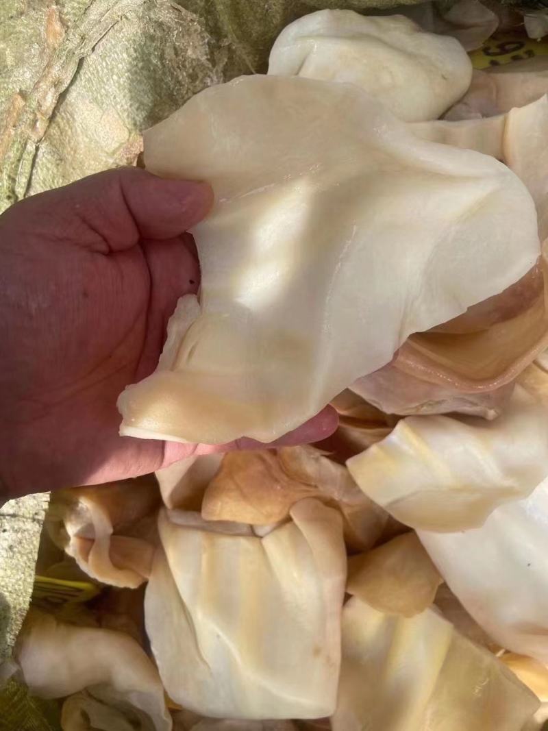熟牛耳片酱香牛耳片干净卫生质量保证厂家直销