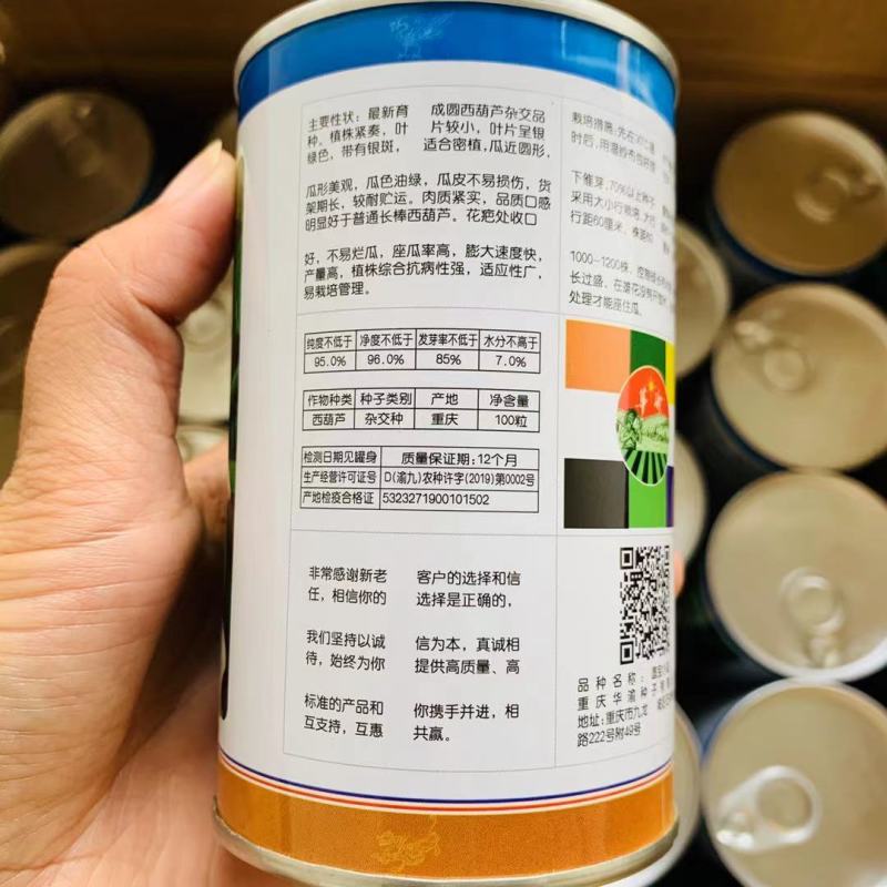圆宝小菜瓜种子无蔓西葫芦种子圆形小瓜种南北方栽培不爬藤