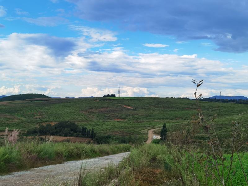 马龙苹果基地出租