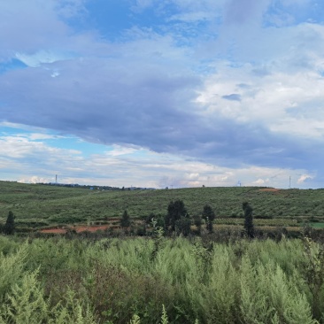 马龙苹果基地出租