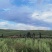 马龙苹果基地出租