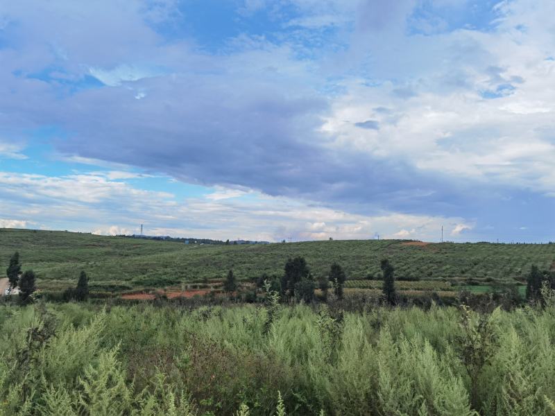马龙苹果基地出租
