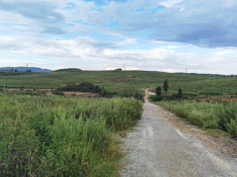 马龙苹果基地出租
