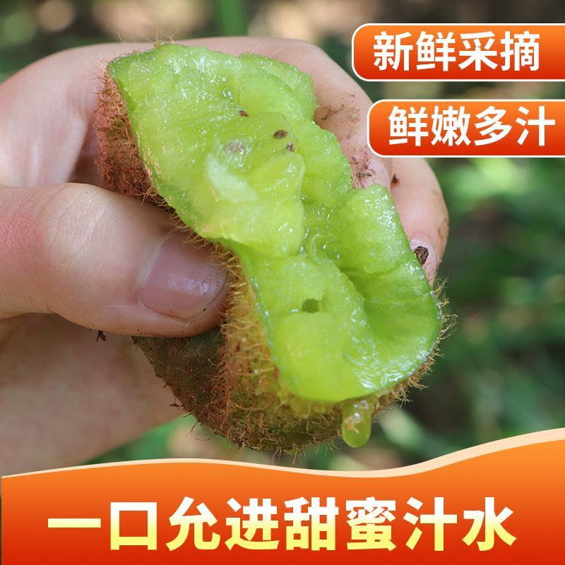 大量批发米粮翠玉品种绿心猕猴桃