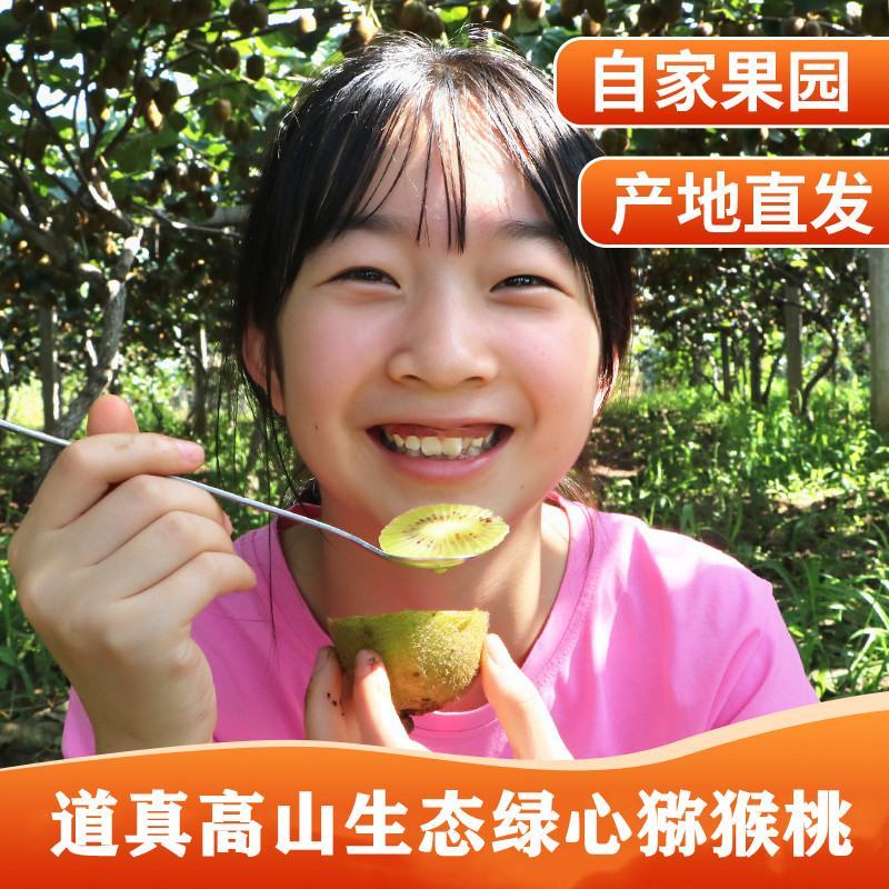 大量批发米粮翠玉品种绿心猕猴桃