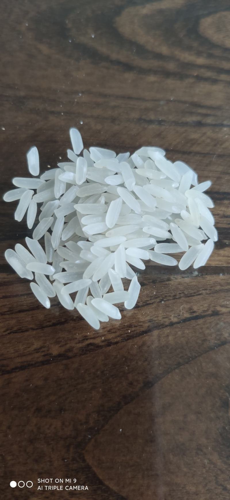 企业店：稻花香、长粒香大米