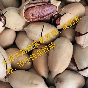 2023年，纸皮碧根果，厂家直销，包邮.，批发价