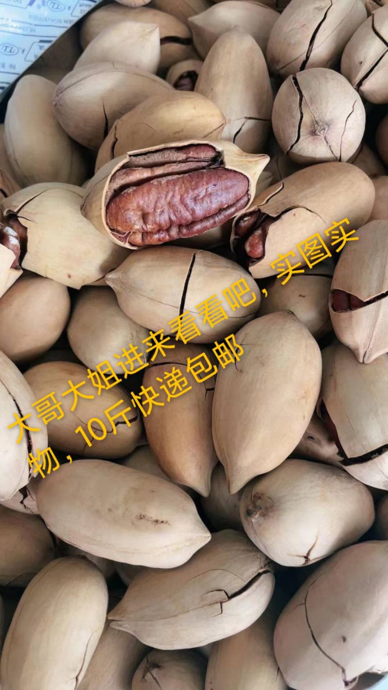 2023年，纸皮碧根果，厂家直销，包邮.，批发价