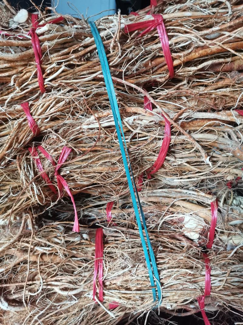 深山五指毛桃根干货炖汤料椰奶香味每天出新