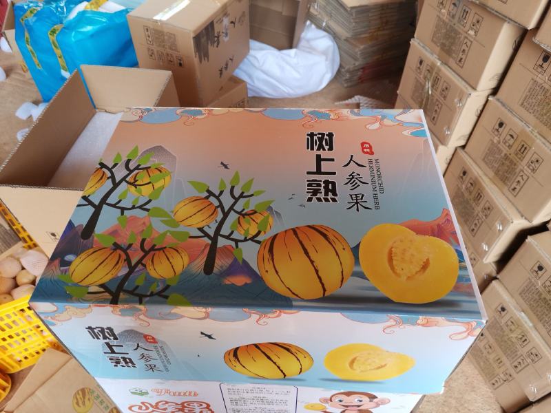 云南石林人参果圆果树上熟风化石水果孕妇果七彩果