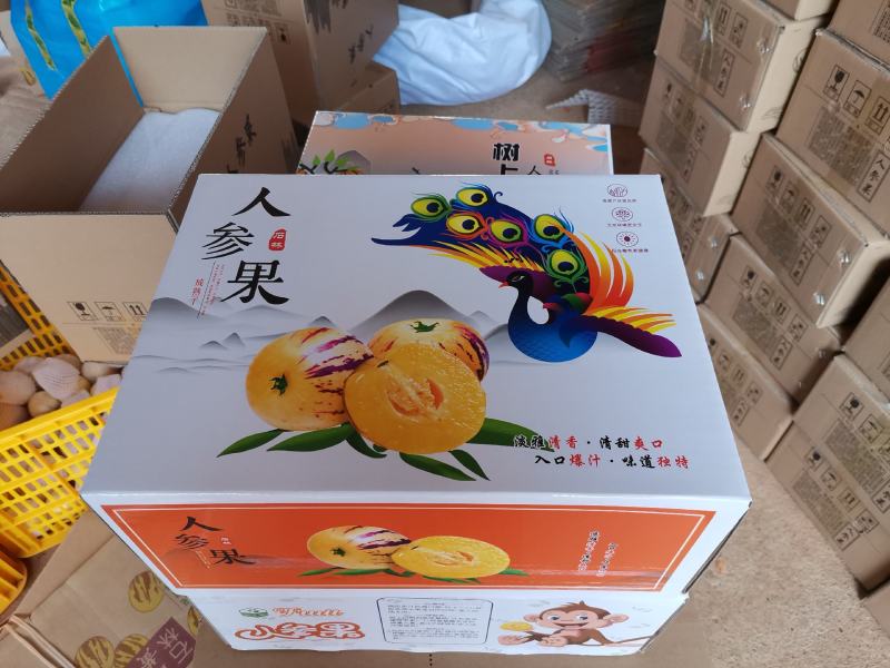 云南石林人参果圆果树上熟风化石水果孕妇果七彩果