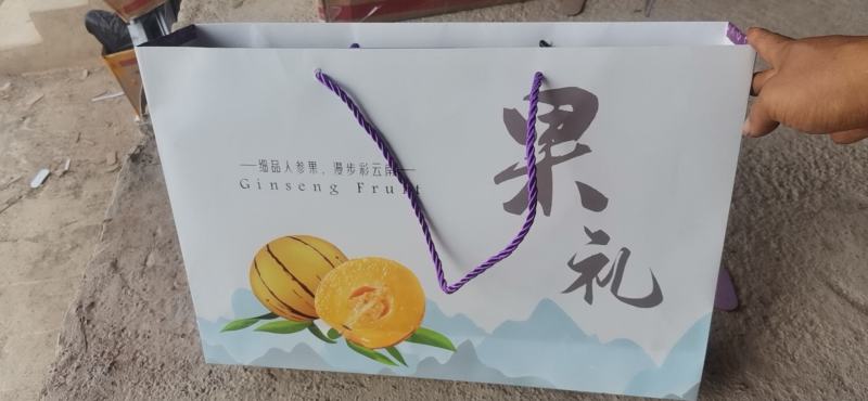 云南石林人参果圆果树上熟风化石水果孕妇果七彩果