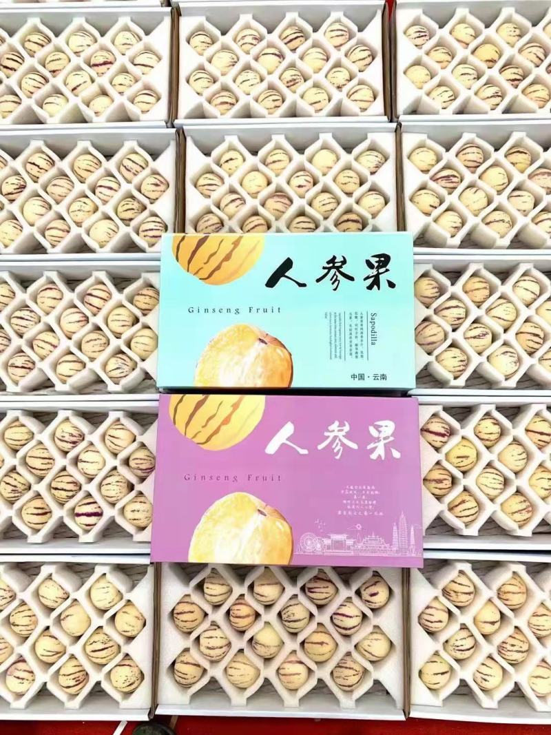 云南石林人参果圆果树上熟风化石水果孕妇果七彩果