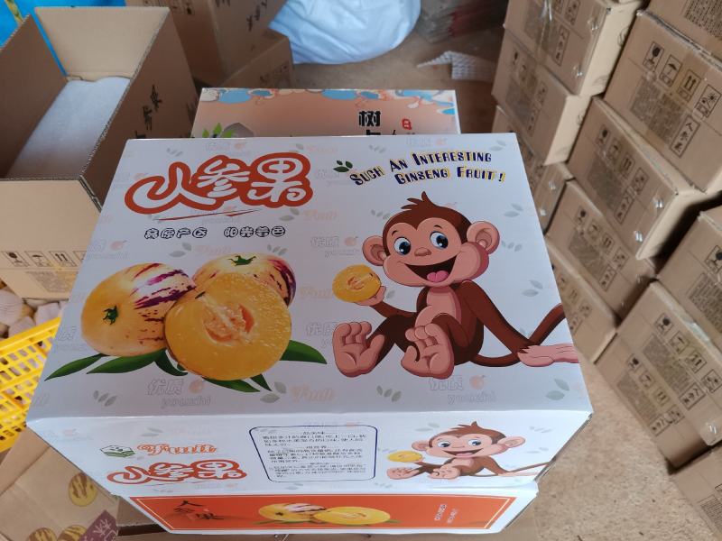 云南石林人参果圆果树上熟风化石水果孕妇果七彩果