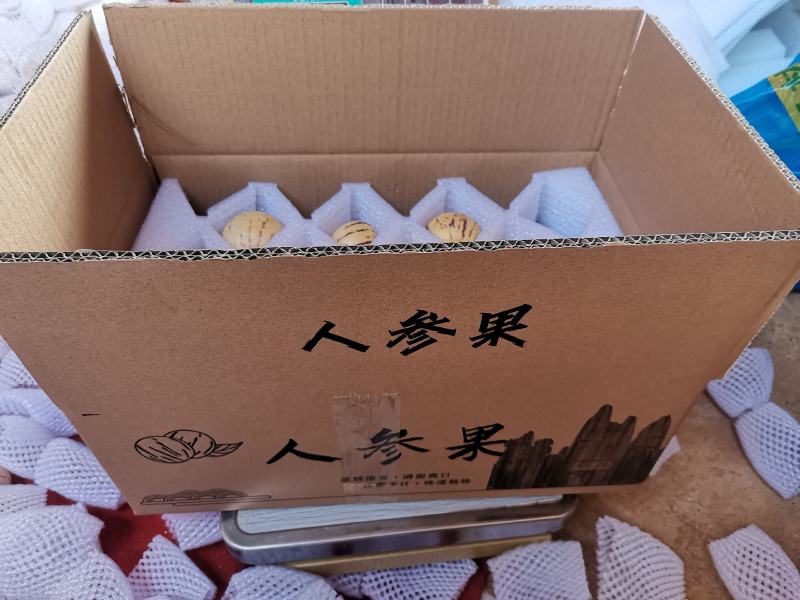 云南石林人参果圆果树上熟风化石水果孕妇果七彩果