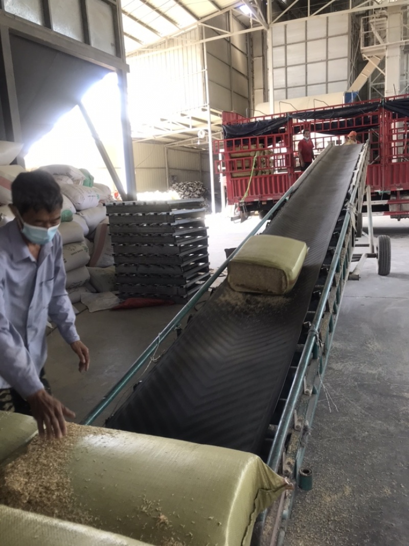压缩稻壳谷壳打包稻壳大量出售除尘过筛