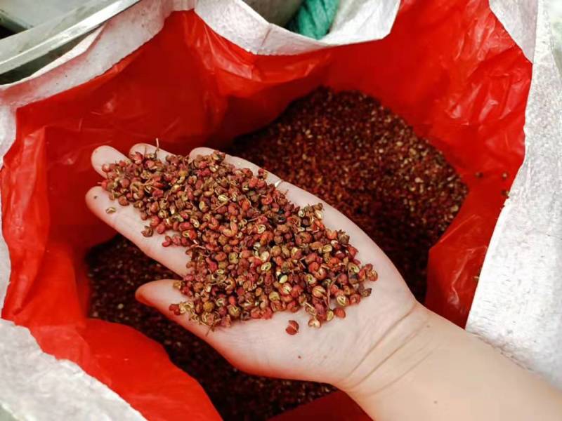 【精品】新货山东大红袍花椒麻味香味足产地直发可视频看货